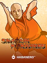 Shaolin Fortune