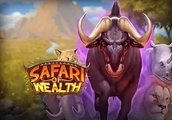 Safari of Wealth
