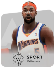 World Entertainment Sports